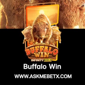 Image : Askmebetx รีวิวเกมสล็อต Buffalo Win ฝากทรูวอลเล็ตขั้นต่ำ 1 บาท
